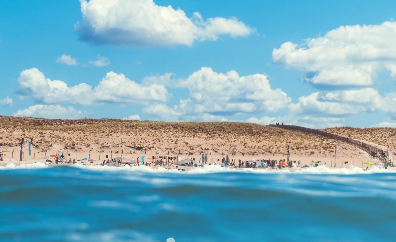 Hotel Single Fin &